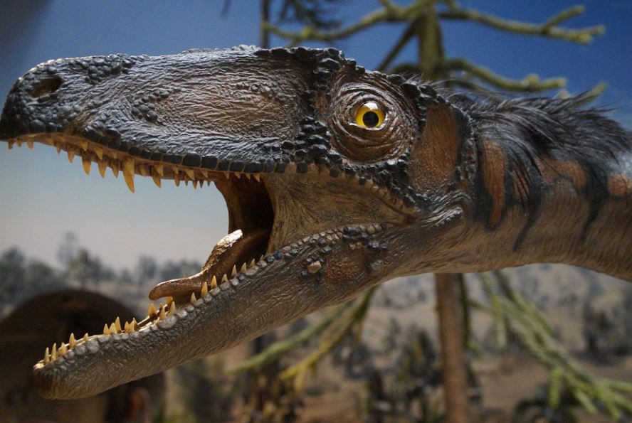 NEVEROVATNO! Na plaži u Velsu nađeni otisci stopala dinosaurusa stari 200 miliona godina (FOTO)