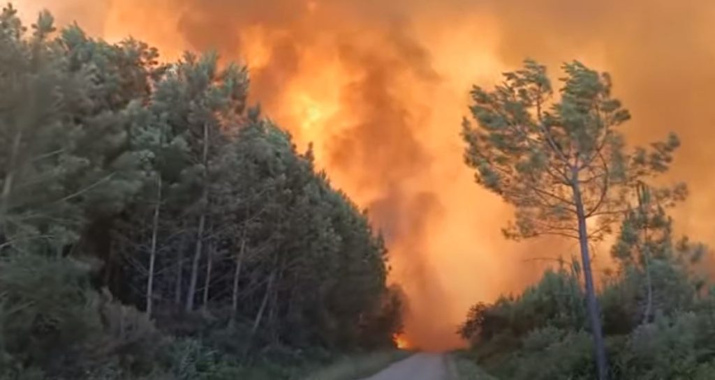 VATRENA STIHIJA GUTA SVE PRED SOBOM: Šumski požari zahvatili Francusku! Zatvoreni putevi, evakuisani ljudi! (VIDEO)