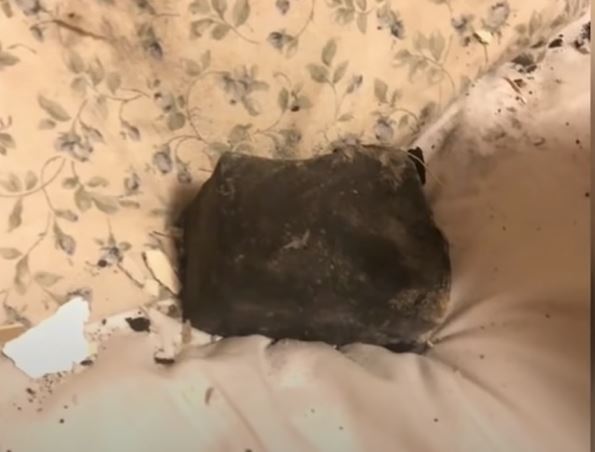 SAMO ČUDO JU JE SPASLO! Meteorit pao ženi u krevet dok je spavala (VIDEO)