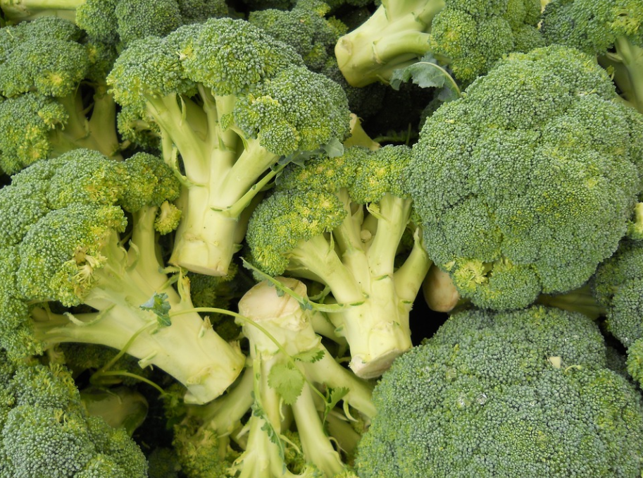 Brokoli je zdrava namirnica