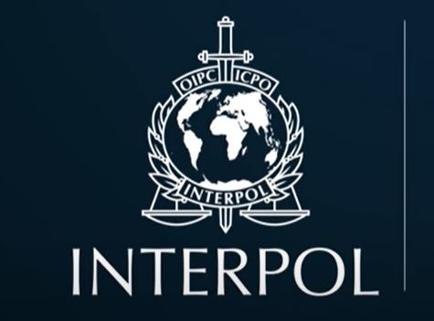 Interpol pozvao države na borbu protiv onlajn zlostavljanja dece