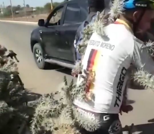 OVO BOLI! Biciklista uleteo u kaktus pri punoj brzini! (VIDEO)