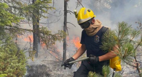 PONOVO POŽARI NA VRŠAČKOM BREGU: Tokom noći vatra buknula na nekoliko mesta