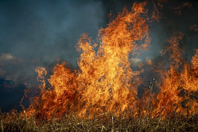 VATRA PROGUTALA PŠENICU: Požar zahvatio polja između Kikinde i Mokrina
