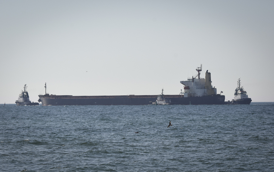 U ukrajinskim lukama i dalje je blokirano 52 broda iz 14 zemalja, saopštio je Mihail Mizincev!