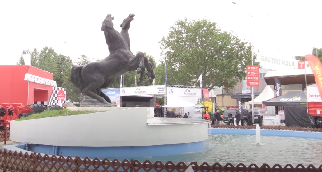 NOVI SAD: U subotu počinje Poljoprivredni sajam