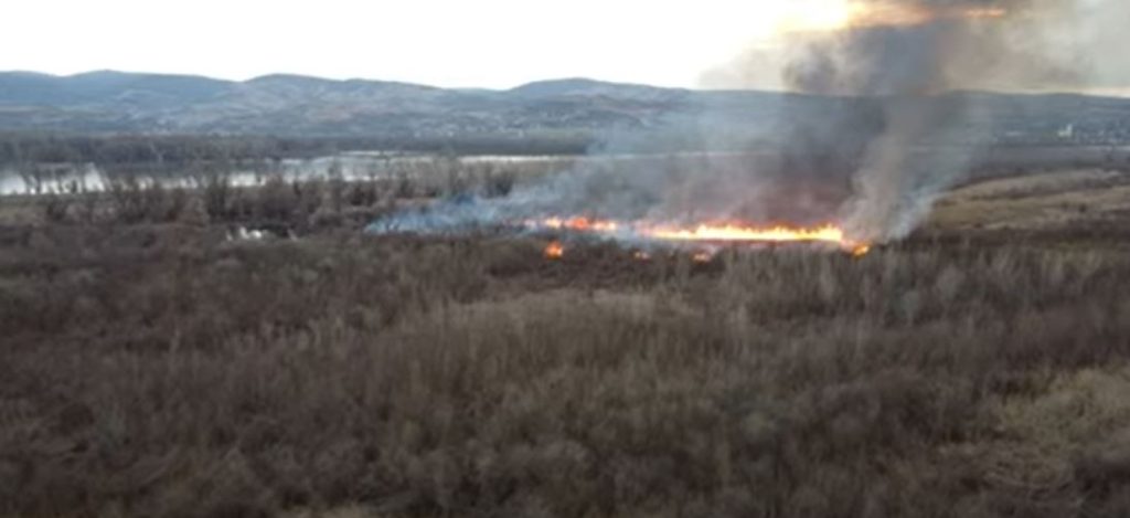 DRAMATIČNO U FUTOGU! Gori sedam hektara! Gradonačelnik Vučević na licu mesta sa vatrogascima! (FOTO/ViDEO)