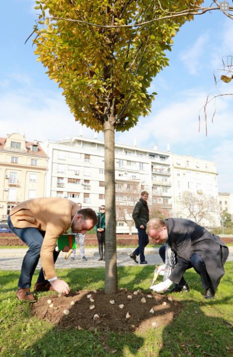 Saradnja Beograda i holandskih kompanija na projektu „Zeleni gradovi Srbije”