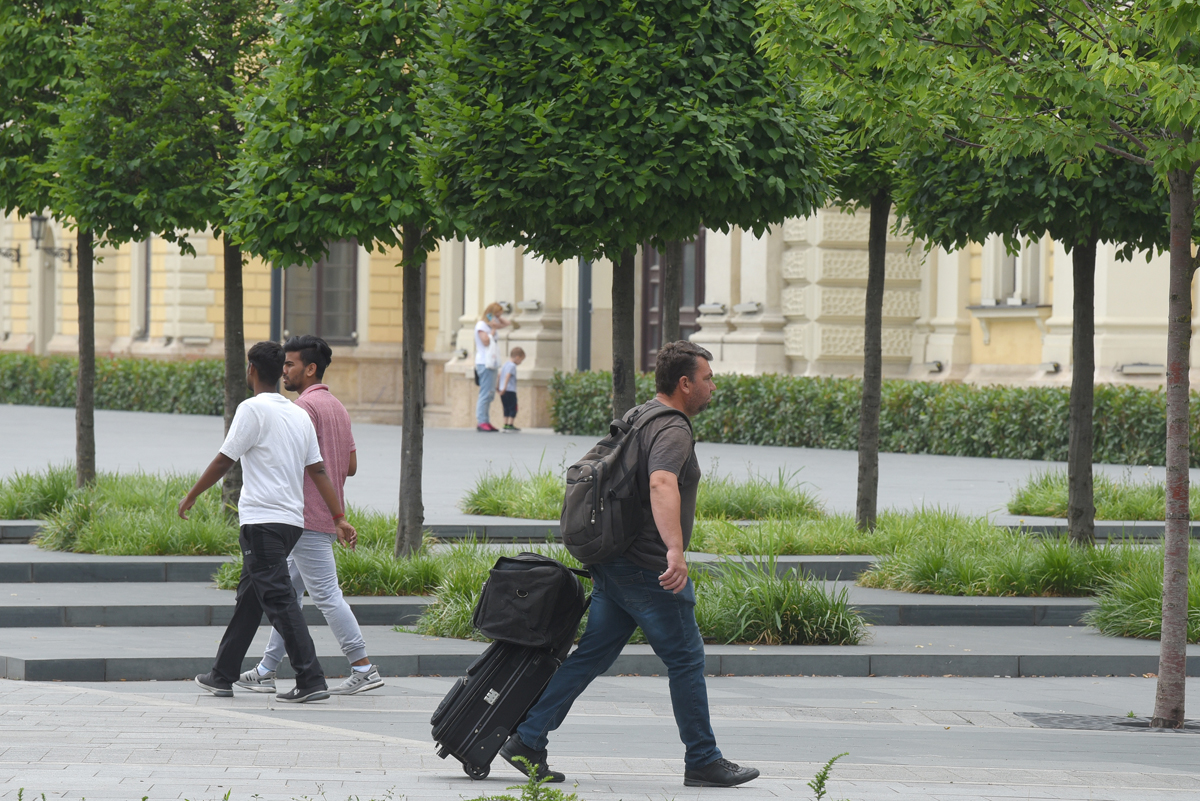 VIRUS ZAPADNOG NILA VREBA NA ŠEST LOKACIJA U BEOGRADU! Najugroženije su OVE opštine!