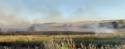 UKRAJINSKA VOJSKA PALI POLJA PŠENICE U ZAPOROŠKOJ OBLASTI: „Teško je izračunati koliko je hektara već uništeno“ (VIDEO)