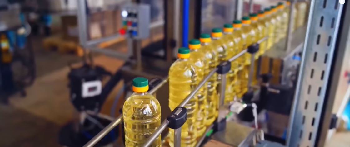 PREMIJER MIŠUSTIN NA SEDNICI VLADE: Rusija može postati najveći izvoznik suncokretovog ulja na svetu