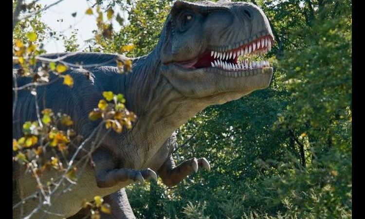 NOVA VRSTA DINOSAURUSA: Naučnici analizom kostiju utvrdili 72 miliona godina staru vrstu!