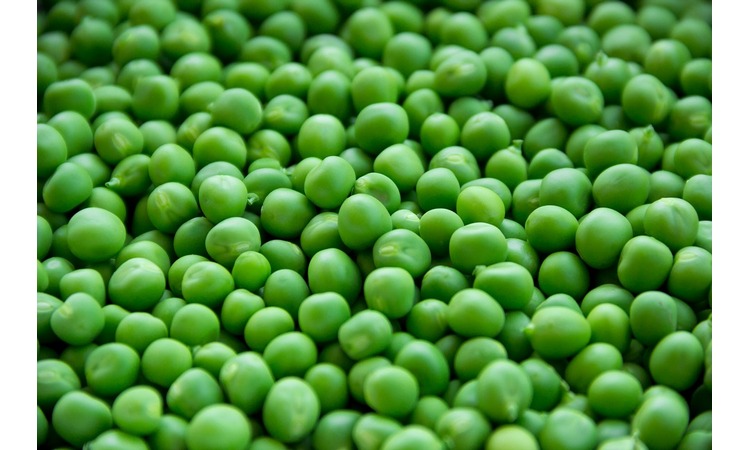 UKUSNO I ZDRAVO: Saznajte sva čudesna svojstva malih zelenih bobica!