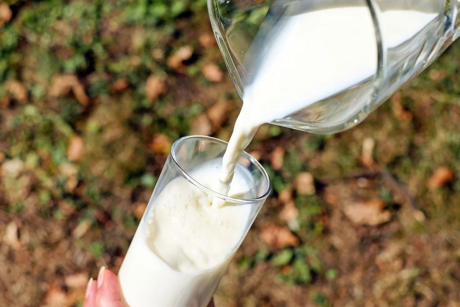 PALA ODLUKA: Vlada produžila zabranu izvoza mleka i mlečnih proizvoda do 31. januara!
