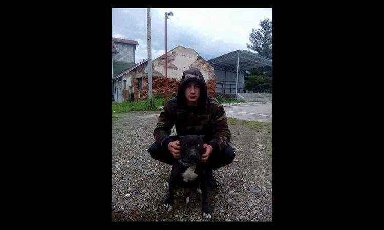 ZUBI I BORBA DO SMRTI: Momak iz Prokuplja na Fejsbuku objavljuje slike i snimke borbe pasa