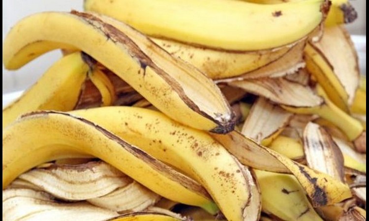 VIŠE NIKADA JE NEĆETE BACITI: Kora banane leči 6 problema!