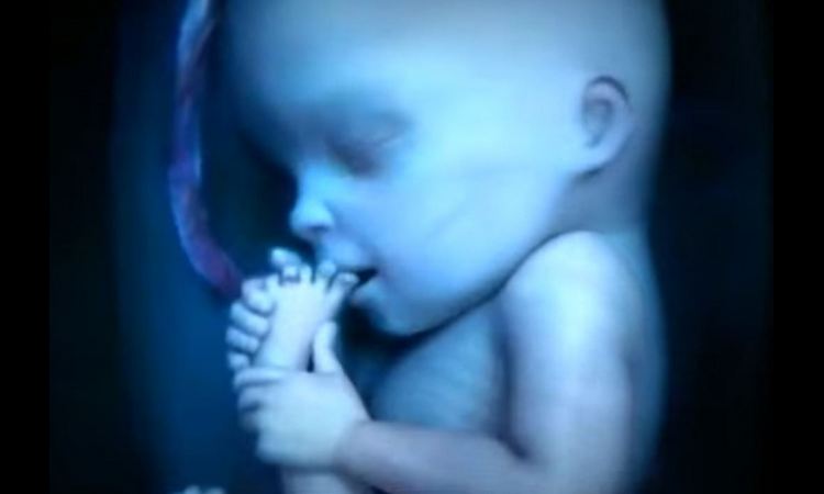TRAGEDIJA: U Feniksu preminula jednogodišnja beba od vrućine u kolima!