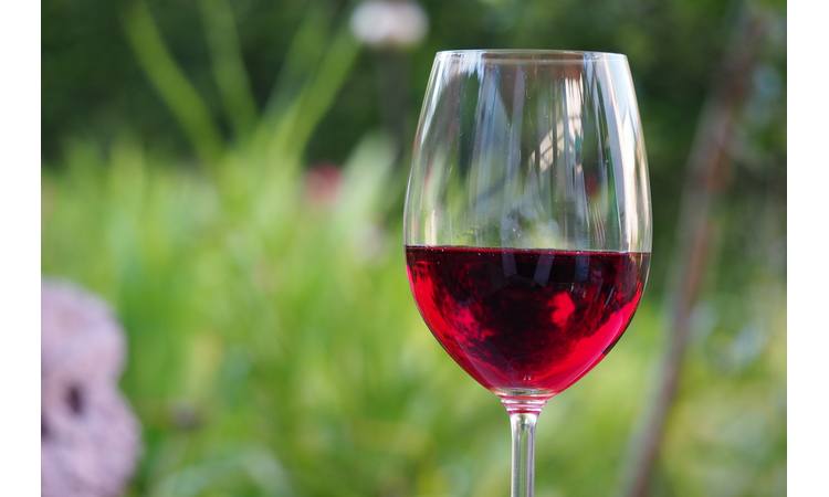 CRNO VINO NIJE DOBRO ZA SRCE: Stručnjaci razbili mit star 30 godina, a vinopije ostale u šoku