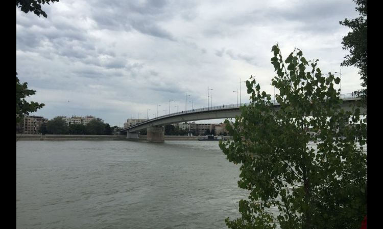 TRAGEDIJA U ZEMUNU: Izvučeno telo mladića iz Dunava!