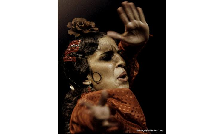 TAJNE FLAMENKA:  Izložba fotografija „Cante, baile, toque: flamenko, svetska kulturna baština“ u Institutu Servantes!