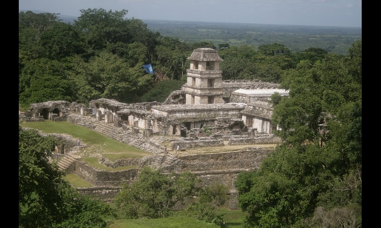 NESTVARNO:  Petnaestogodišnjak pronašao izgubljeni grad Maja na prostoru današnjeg Meksika
