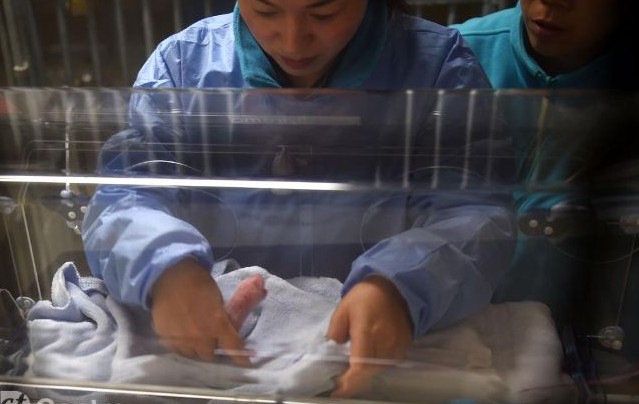 NESVAKIDAŠNJA VEST: Rodjene pande blizanci, samo jedna beba je preživela!