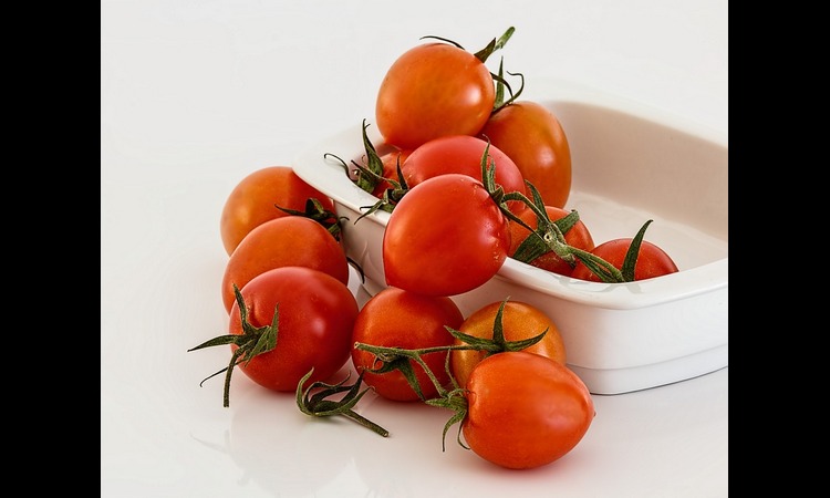 3 TOP PREDLOGA ZA ZIMNICU: Od paradajza !