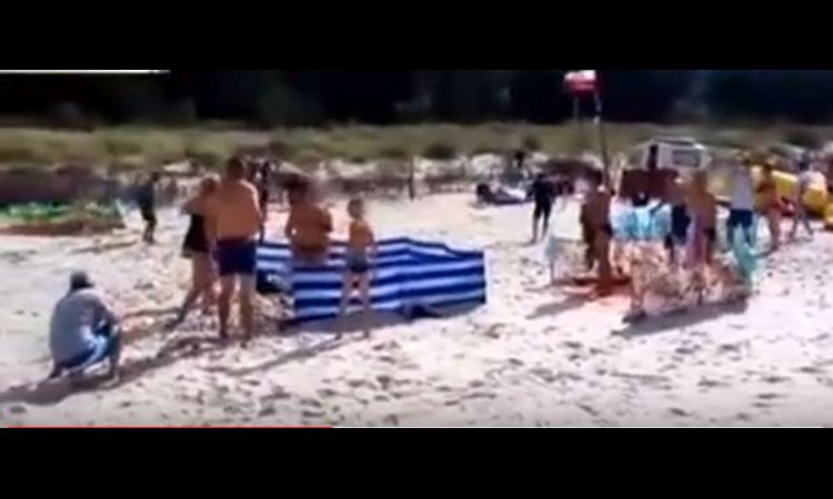 KAD VAM SVINJA POKVARI ODMOR: Pogledajte kako je divlje prase rasteralo sve kupače na plaži (VIDEO)