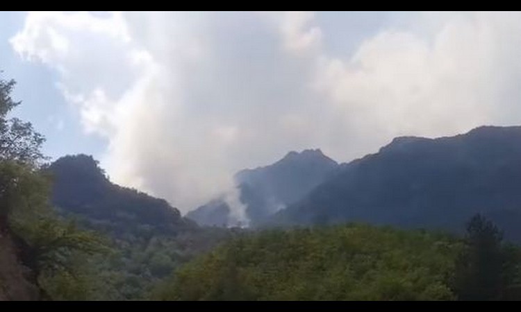 Novi požari kod Kosovske Mitrovice!