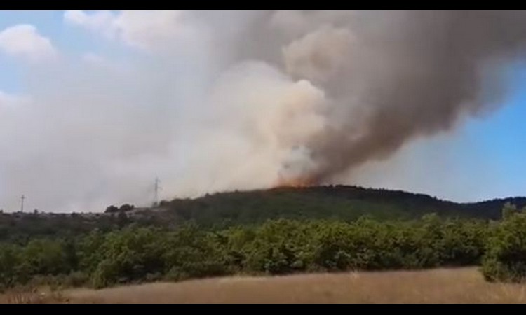 ALARMANTNO: Vatra progutala hektare šuma, vatrogasci gase 90 požara!