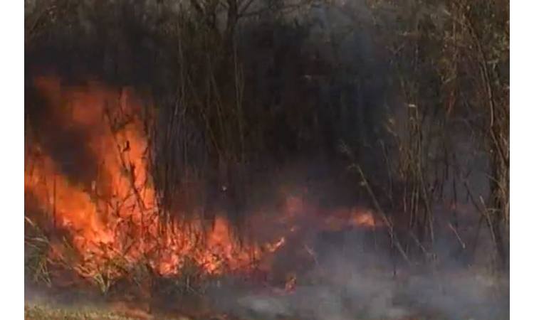 VELIKI POŽAR KOD ČAČKA: Vetar RAZBUKTAO vatru, plamen progutao površinu od jednog hektara