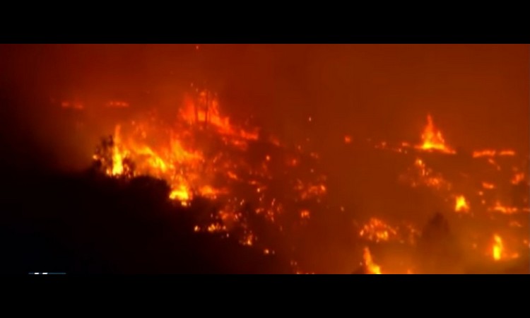 UŽAS U KALIFORNIJI: Vatra guta sve pred sobom, 5.000 ljudi evakuisano! (VIDEO)