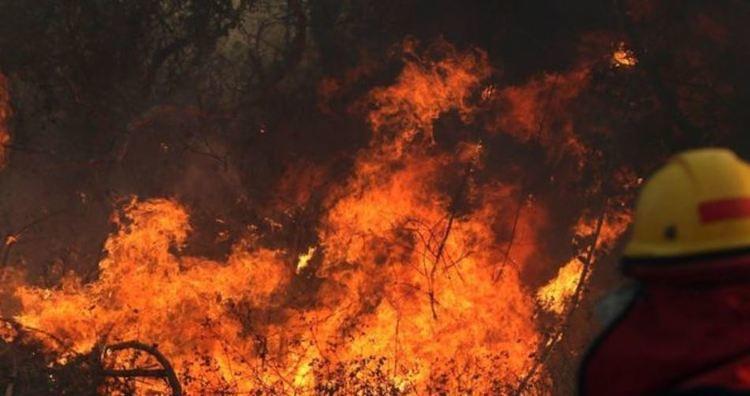 BOLSONARO: Medijske laži u vezi požara u AMAZONIJI!