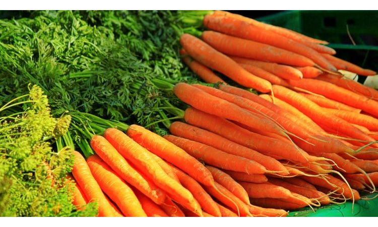 SPREČITE TUMOR: Saznajte koji deo narandžastog povrća vam najviše može pomoći