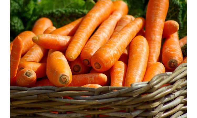 ŠARGAREPA ZA ZDRAV ORGANIZAM: Moćno korenasto povrće obiluje vitaminima i lekovitim svojstvima! (FOTO)