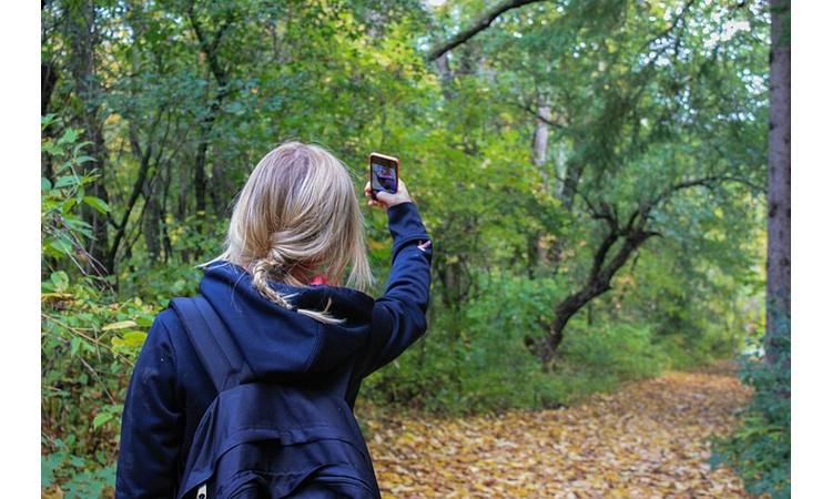 ŠTA BI FROJD REKAO O SELFIJU: Zaljubljeni u sebe ili traže ljubav drugih?