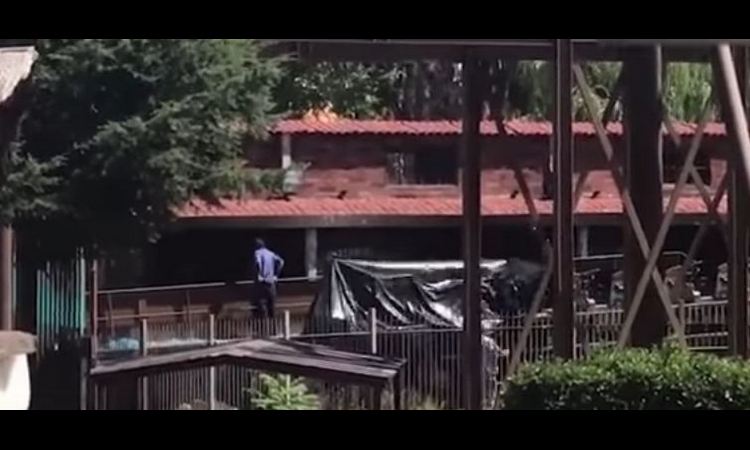 HOROR U MADRIDU: U sudaru rolerkostera povređene 33 osobe, uključujući i decu! (VIDEO)