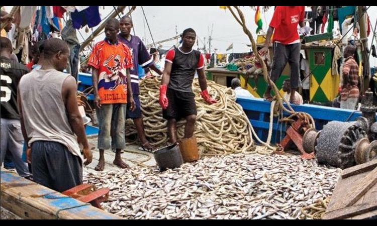 ZAPADNA AFRIKA PRED NOVIM PROBLEMIMA: Nelegalni ribolov ugrožava život stanovnika ove regije