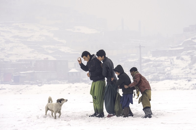EKSTREMNA HLADNOĆA U AVGANISTANU:  Smrzlo se najmanje 157 ljudi i preko 70.000 grla stoke