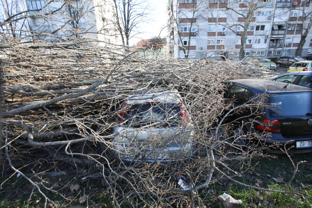 U SLOVENIJI SNEG NE PRESTAJE DA PADA: Snažna bura stvara velike probleme, evakuisano 30 osoba