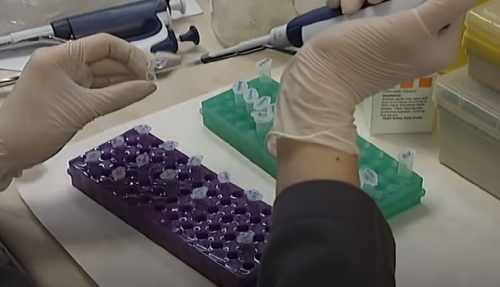 VASOJEVIĆI NOSE NAJSTARIJE GENE: DNK otkriva odakle potiču SRBI! (VIDEO)