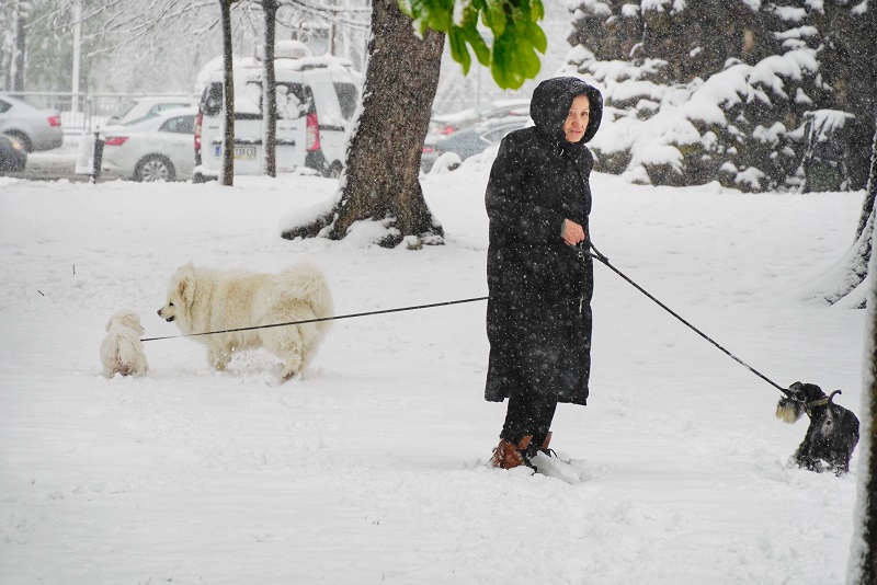 ZABELELO SE U SRBIJI: U ovim krajevima zemlje sneg do kolena (VIDEO)
