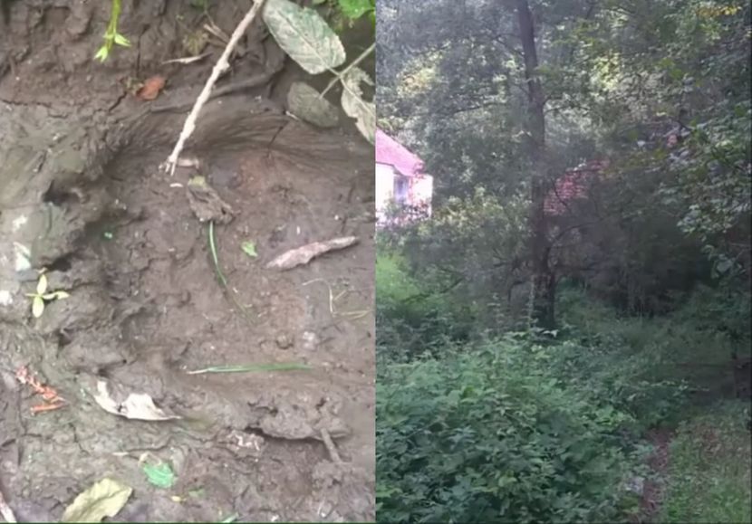 Meštani Kosjerića dokumentovali otisak medvedove šape: „Ovo je prvi put da se spustio u selo“ (VIDEO)