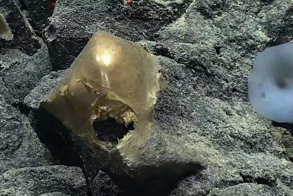 ŠTA SE IZLEGLO? Misterija „zlatnog jajeta“ nađenog na 3,2 kilometra dubine (VIDEO)