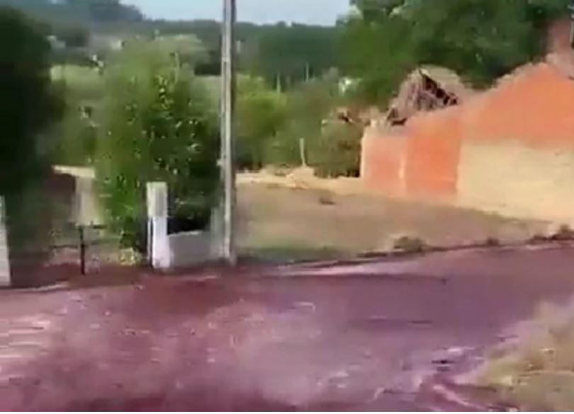 PRIZOR ZA NEVERICU: Na ulice gradića u Prtugalu izlilo se 2, 2 miliona litara vina! (VIDEO)