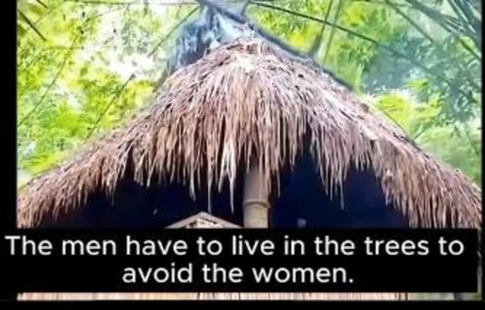 U OVOM PLEMENU ŽIVI 3.000 ŽENA I 7 MUŠKARACA: Spavaju na drvetu da pobegnu od pohotnih žena