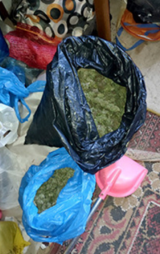 PRONAĐENA FABRIKA DROGE KOD PROKUPLJA: Uhapšene tri osobe, zaplenjeno više od 5 kilograma marihuane