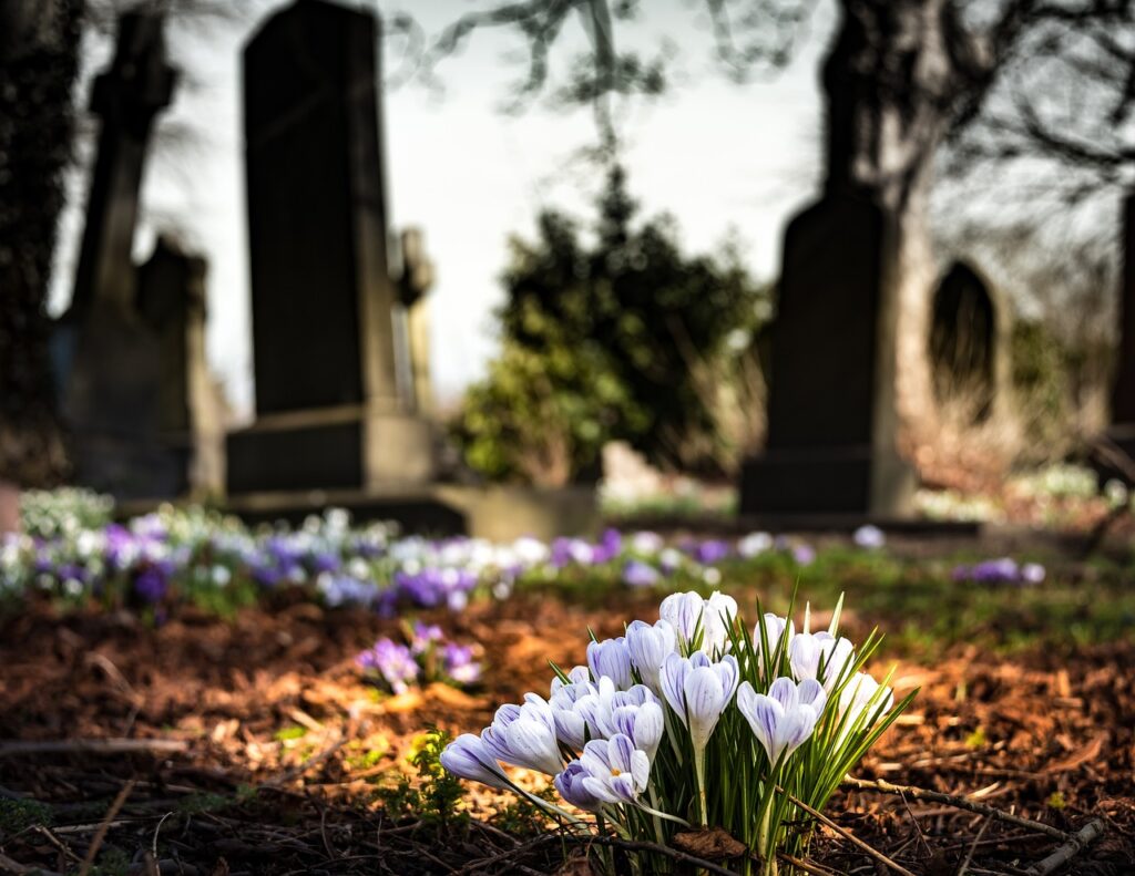 KOŠTALO GA GROBNOG MESTA: Stvar koju svi radimo na groblju može da izazove ogroman problem (VIDEO)