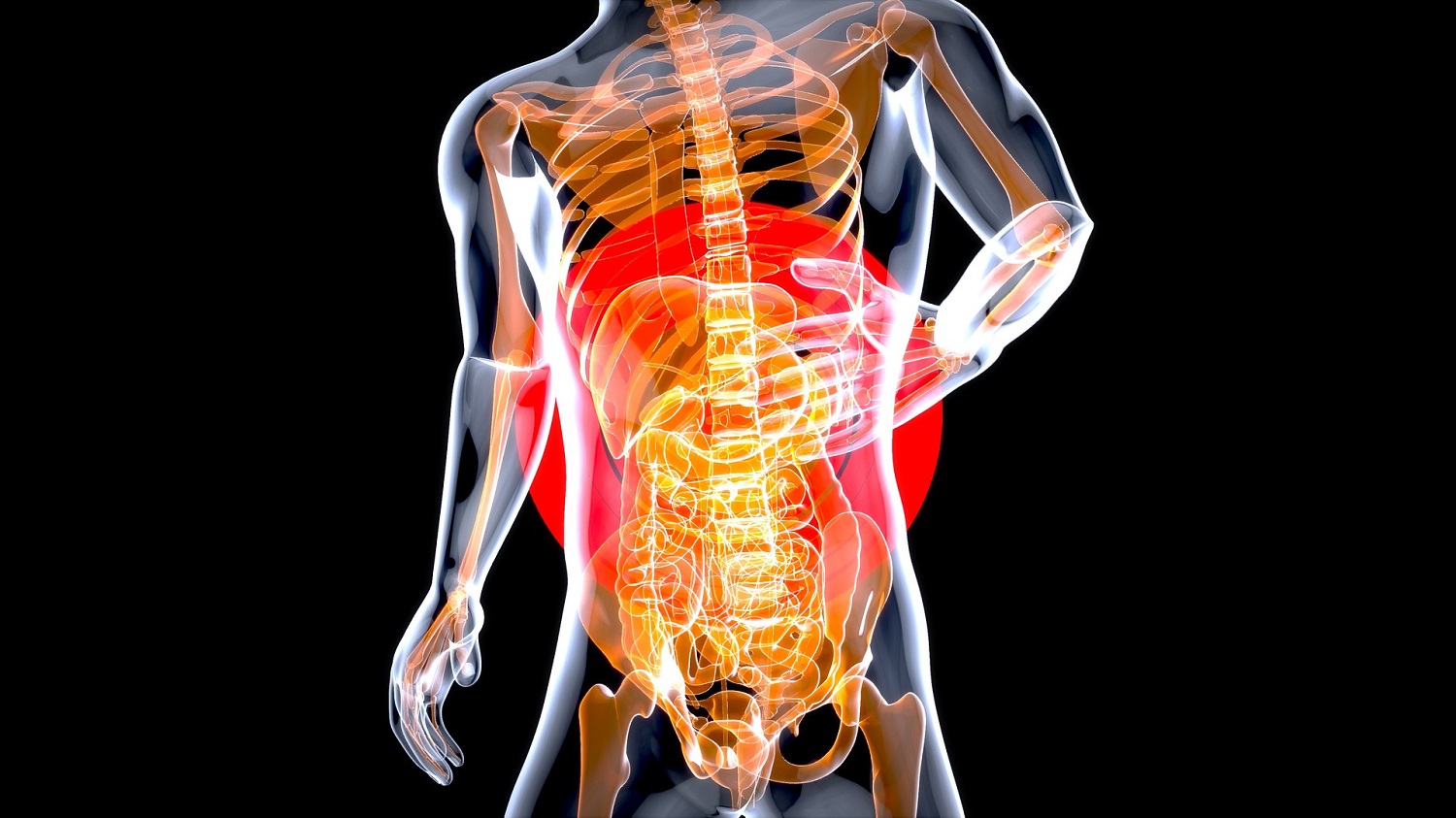 stomak-telo-rendgen