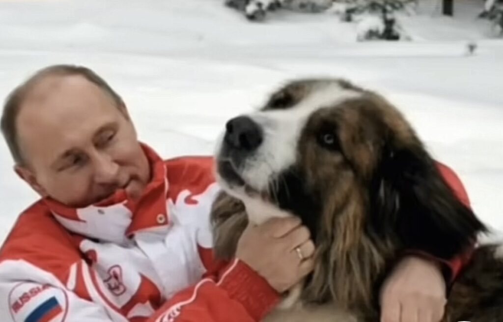 ON JE SINONIM ISTINSKE LJUBAVI, VERNOSTI I EMPATIJE: Putin oduševio svet, ovaj prizor topi SRCA (VIDEO)